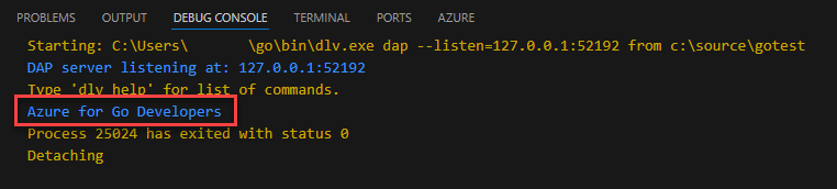 Ein Screenshot zeigt das Ergebnis des Go-Beispielprogramms, das in der Debug-Konsole angezeigt wird.