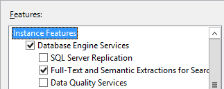 Screenshot der SQL Server-Features.