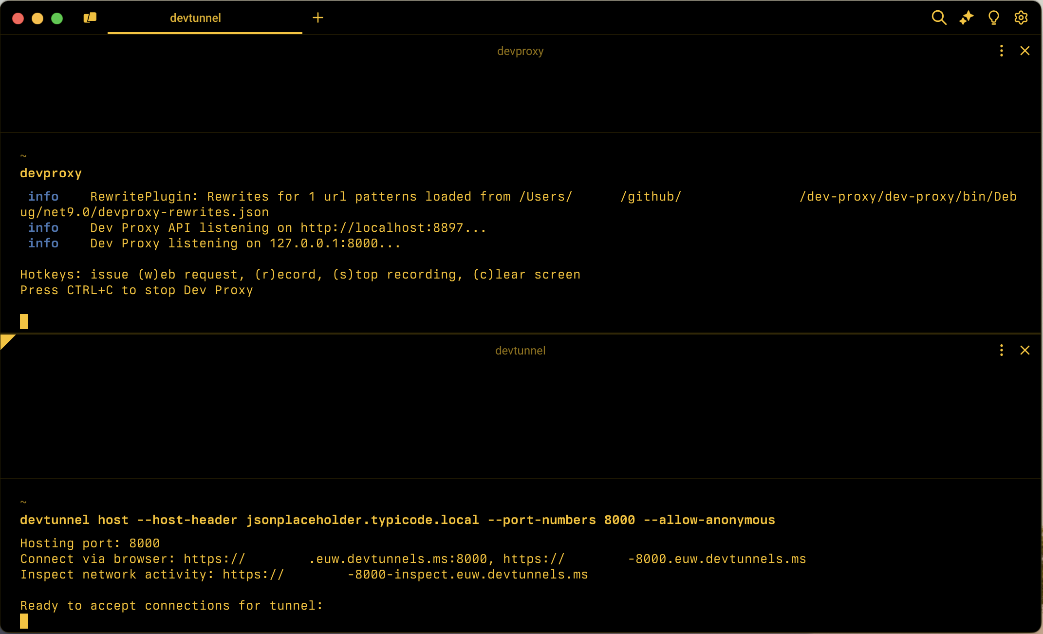 Screenshot der Befehlszeile mit ausgeführtem Dev Proxy und Entwicklertunnel.