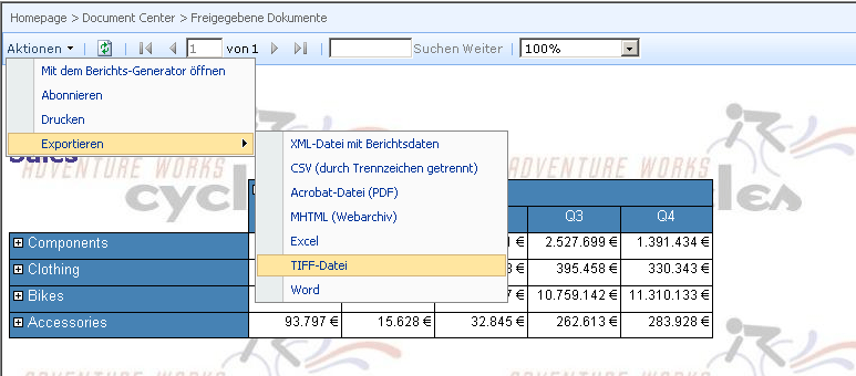 Berichts-Viewer-Webpart