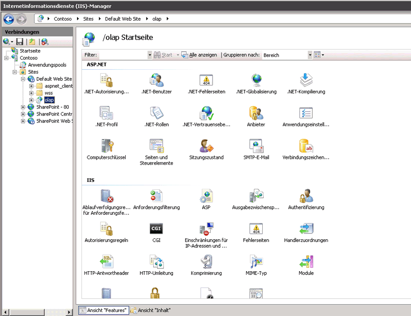 Screenshot der Hauptseite des IIS-Managers