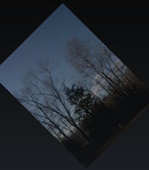 Beispielfoto eines Livebilds von der Kamera des Geräts