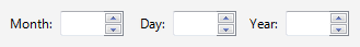Screenshot von Monats-, Tag-, Jahresdrehsteuerelementen 