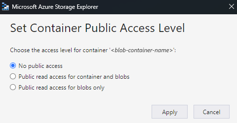 Screenshot shows Azure Storage Explorer dialog box for selected blob container, and selected option for No public access.