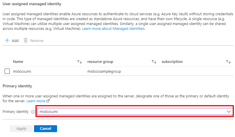 Screenshot from the Azure portal of selecting primary identity for server.