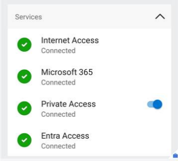 Screenshot of the Services section in the Global Secure Access mobile client.