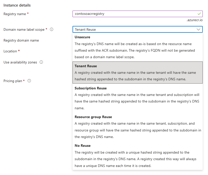 Configure Domain Name Label option