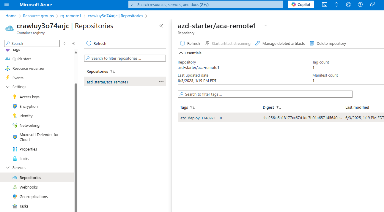 A screenshot of the container registry repository.