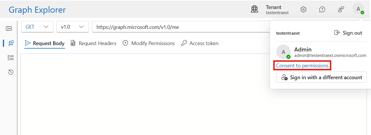 Screenshot showing Graph consent for test user.