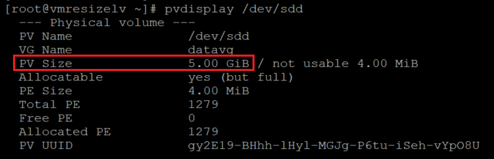 Screenshot showing the code that checks the size of the P V with the result highlighted.
