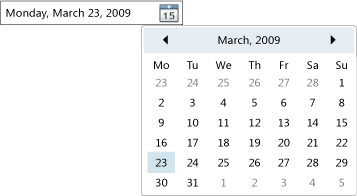 NDP_DatePicker DatePicker control