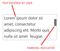 A multi-line text control.