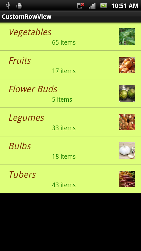 Screenshot of the resulting CustomRowView