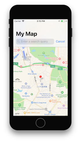 Large navigation title with search bar