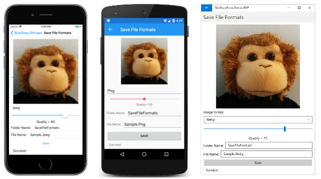Save File Formats Save File Formats