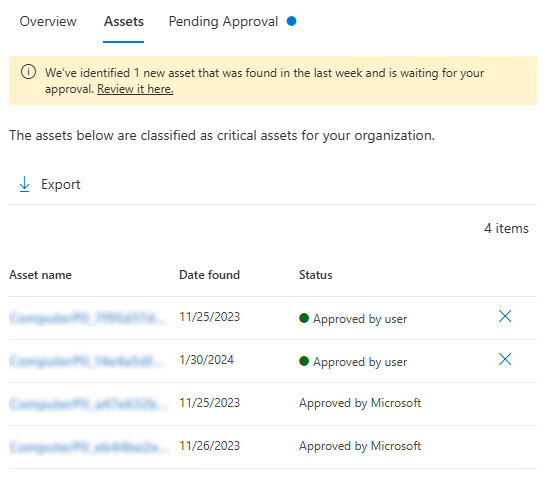 Screenshot of the assets tab in asset management.