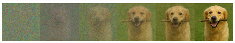 Diagram of a series of images of a dog with increasing visual structure.