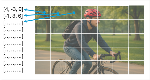 Diagram of a photo with patches assigned to vectors.