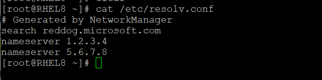 Screenshot of resolv.conf file post changing the DNS servers at portal level.