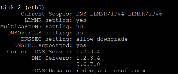 Screenshot of command's partial output.