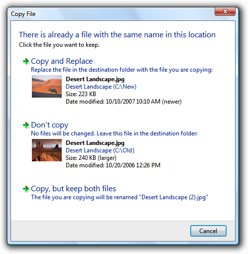 screen shot of 'copy file' dialog box