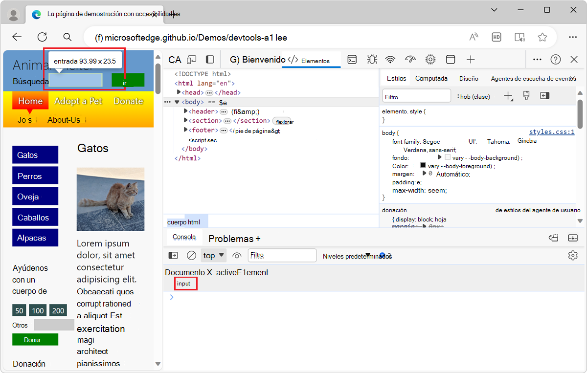 Elemento centrado, resaltado en la página web representada