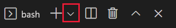 Captura de pantalla de la ventana del terminal de Visual Studio Code con Bash en la lista desplegable.
