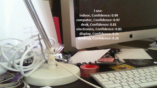 Captura de pantalla que muestra los resultados del reconocimiento.