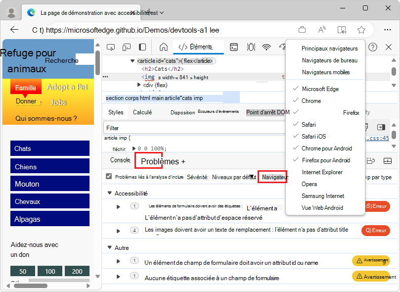 Le panneau Problèmes avec la liste déroulante Navigateur développée, montrant les différents navigateurs qui peuvent être sélectionnés