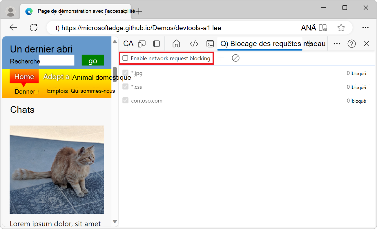 Désactivation du blocage des requêtes réseau