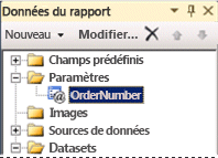 Le nouveau paramètre est ajouté au volet des données de rapport