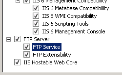 Windows Server 2008 の F T P 拡張機能を示すスクリーンショット。