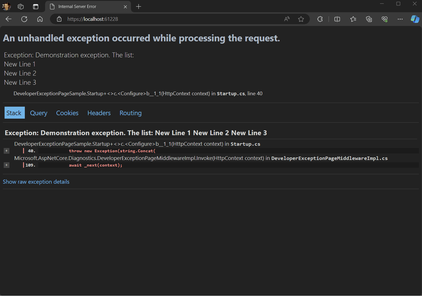 새 개발자 예외 페이지