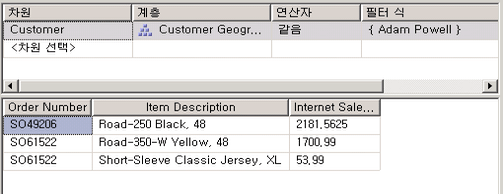 Internet Sales-Sales Amount 차원 지정