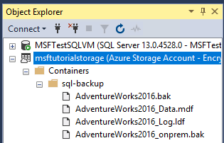 SQL Server 인스턴스 항목 아래에 있는 Azure의 컨테이너 내 데이터 파일을 보여 주는 SSMS의 개체 탐색기 스크린샷