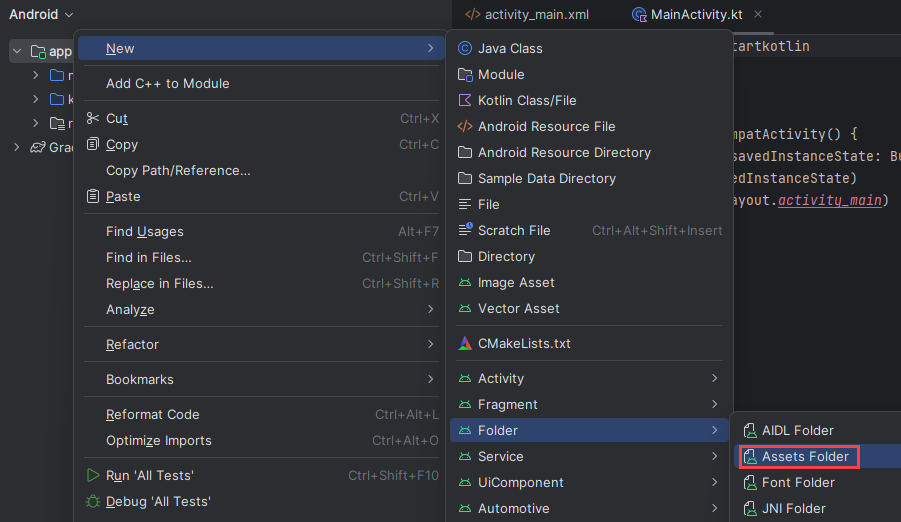 Schermopname van de optie map Assets.