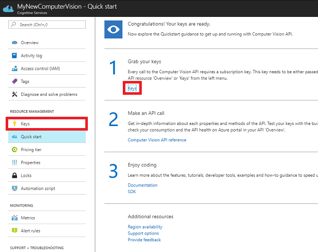 Schermopname van de installatiekopieën van de nieuwe Computer Vision API-service.
