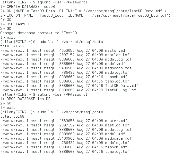 Zrzut ekranu przedstawiający tworzenie testowej bazy danych.