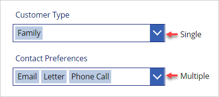 Screenshot of a partial Edit form. The single choice column label is Customer Type, showing Family selected. The multiple choice column label is Contact Preferences, showing multiple values of Email, Letter and Phone Call.