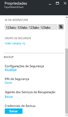 Captura de tela das propriedades do cofre dos Serviços de Recuperação
