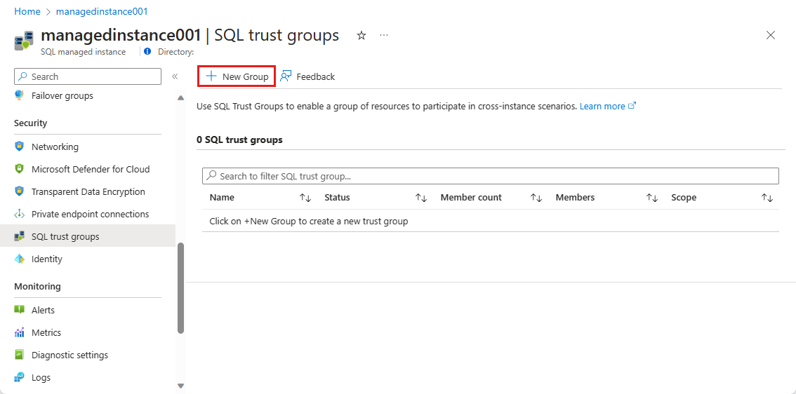 Captura de tela mostra a página Grupos de confiança do SQL com Novo Grupo selecionado.