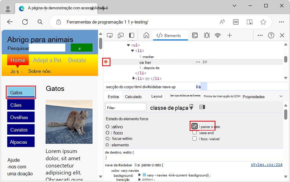 DevTools a simular um estado de pairar