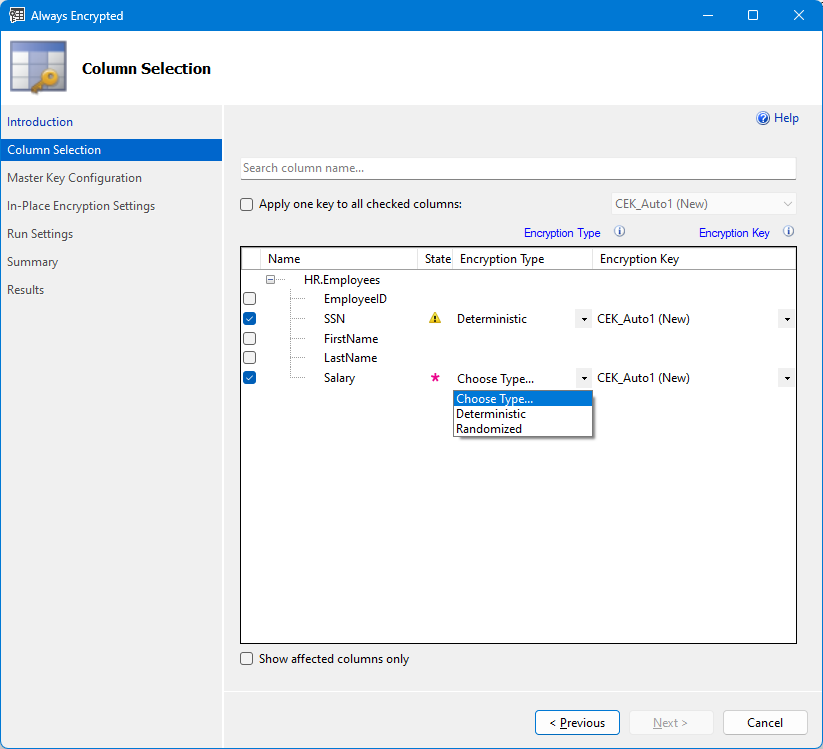 Captura de ecrã da seleção de colunas do Assistente Sempre Encriptado.