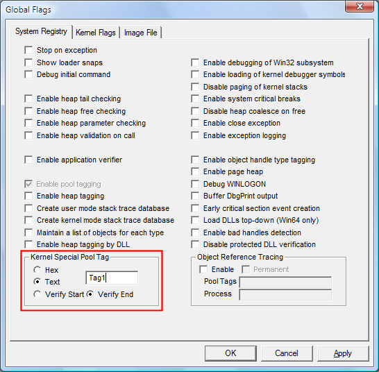 Captura de ecrã de uma etiqueta introduzida como texto no separador Registo do Sistema no GFlags.