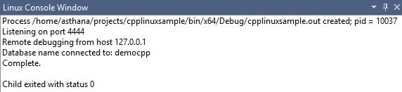 Screenshot of Linux Console Window Output.