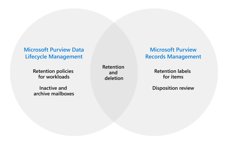 Main components to configure and use to oversee your data with Microsoft Purview.