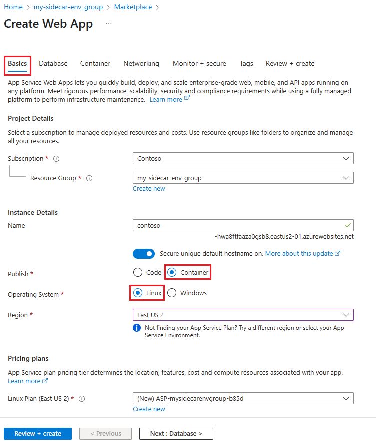 显示 Linux 自定义容器 Web 应用的基本设置的屏幕截图。