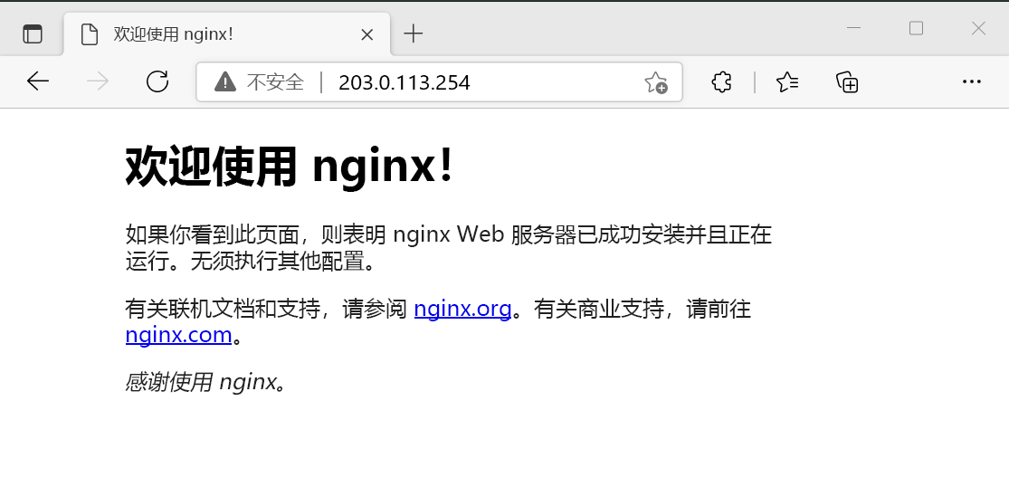 测试 NGINX Web 服务器的屏幕截图。