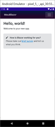在 Android Emulator 中运行的应用。
