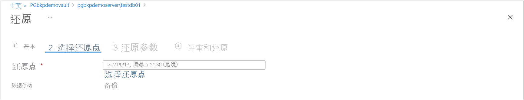 显示用于选择恢复点的选项卡的屏幕截图。